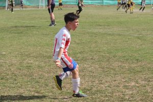 Se viene el Torneo de Divisiones Juveniles de AFA